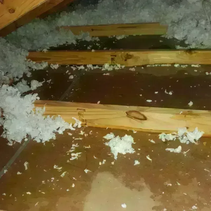 Attic Water Damage in China, ME